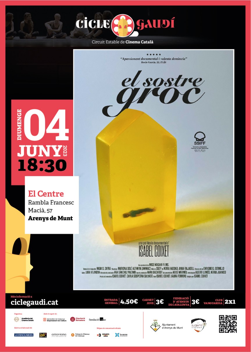 CINEMA CICLE GAUDÍ: El sostre&nbsp;groc