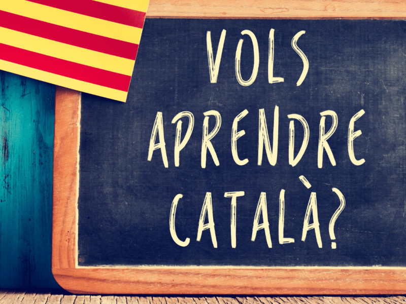 Curs de català